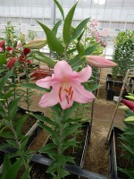 [5576 VH06 No01.JPG]